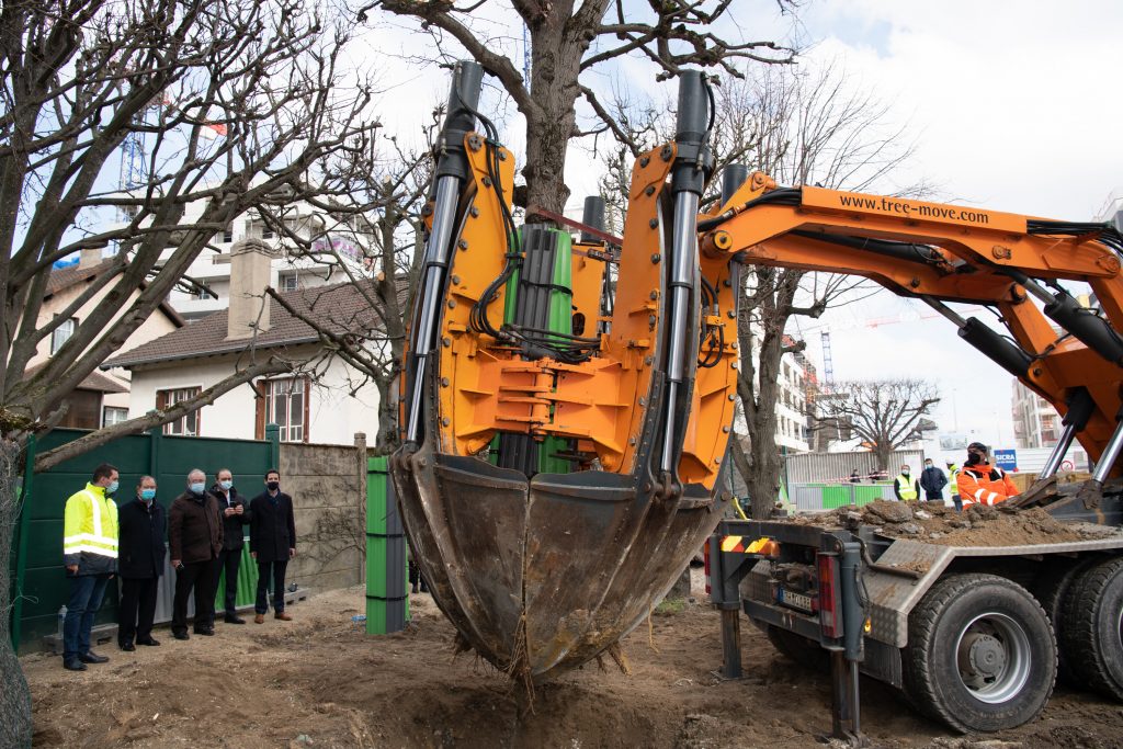 Transplantation_Arbres_Arsenal_Ecoquartier_Mars_2021_CS-6687